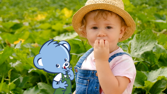 imagepreviewnaturnes-1280×720